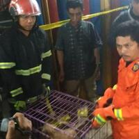 tiga-bocah-yang-disekap-dipaksa-tidur-dengan-anjing