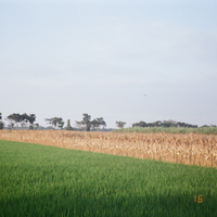 warung-ngumpul-penggemar-kamera-analog---part-5