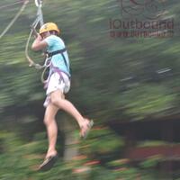 jangan-pening-begini-loh-tips-bikin-foto-panning-aslinyalo