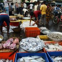 demam-daging-dan-seafood-di-asia-bisa-bebani-lingkungan