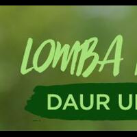 coc-diy-punya-kardus-bekas-solasi-gan--jangan-di-buang-manfaatkan-jadi-ini