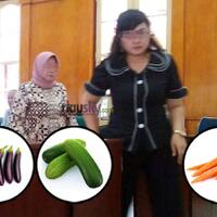 tak-tahan--anunya-ditusuk-tusuk--pakai-timun-terong-dll-wisda-gugat-cerai-suami