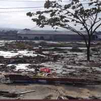 tsunami-palu-diluar-perkiraan