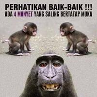 konfirmasi-pemilik-kaskus