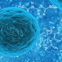 pasangan-gay-bisa-punya-anak-dengan-stem-cell