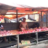 papua-bisa-jadi-produsen-daging-babi-untuk-kebutuhan-global