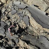 fenomena-likuifaksi-bisa-diprediksi