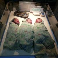 penyintas-gempa-sulteng-lahirkan-bayi-kembar-tiga