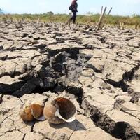 bencana-alam-berikutnya-petani-minta-pemerintah-cek-kondisi-musim-kemarau