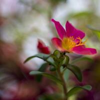 saung-lensa-manual---part-5