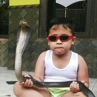 coc-pets-reptil-kesayanganku-aslinyalo