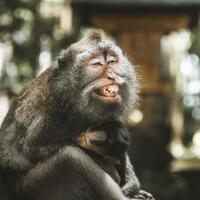 l4us-it039s-not-a-badge--it039s-family-crest---part-31