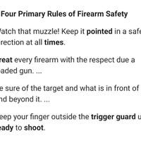 penembak-peluru-nyasar-dpr-berstatus-pns-dan-bukan-perbakin