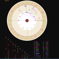 yuk-belajar-sendiri-lihat-rejeki-dan-pernikahan-lewat-birth-chart