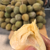 pajero-sport-lovers-kaskus---part-4