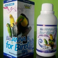 lovebird-lovers---part-1