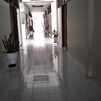 3-hal-penting-yang-harus-diperhatikan-dalam-menanam-lidah-mertua-aslinyalo