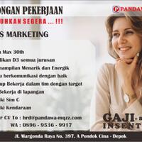 sales-marketing-pandawa24jam-gaji-insentive--bonus