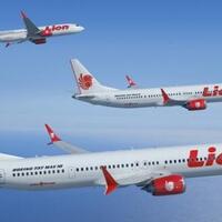 cerita-di-balik-2-anggota-dprd-selamat-dari-pesawat-lion-air-jatuh