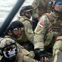 52-pasukan-katak-mencari-kepastian-kotak-hitam