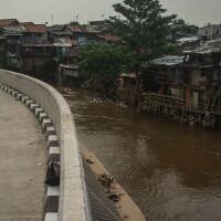 program-naturalisasi-su