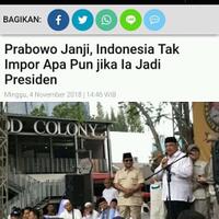 indonesia-tidak-akan-impor-apapun