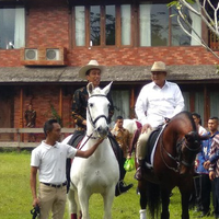 kubu-jokowi-soroti-kuda-impor-prabowo-timses-jaka-sembung-bawa-golok