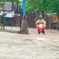 sungai-kuantan-meluap-2949-rumah-dan-1513-ha-sawah-terendam-banjir