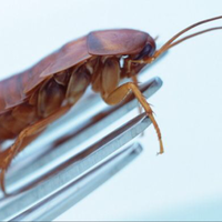 gagal-capai-target-karyawan-perusahaan-cina-dihukum-minum-air-kencing