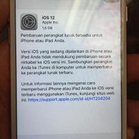 gak-bisa-update--instal-ios-dari-934-ke-121