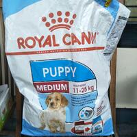 new-all-about-dog-food---part-1