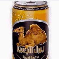 habib-rizieq-polisi-saudi-putuskan-saya-sebagai-korban