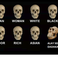 alay-ga-perlu-bakat-yang-penting-viralfenomena-seleb-quotdadakanquot