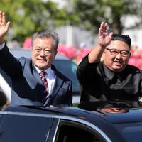 balas-hadiah-kim-jong-un-korsel-kirim-200-ton-jeruk-ke-pyongyang