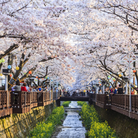 cewek-indonesia-suka-pergi-ke-sini-kalau-liburan-ke-korea