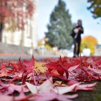 6-misteri-terbesar-musim-gugur-ini-berhasil-dipecahkan-ahli