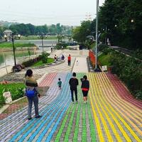 normalisasi-atau-naturalisasi-ciliwung-ini-kata-pengamat