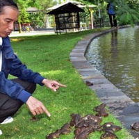 jokowi-dana-desa-besar-jangan-kembali-ke-kota-atau-ke-jakarta