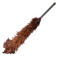 kenapa-takut-dekatin-cewek