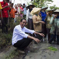 sssttt-ada-yang-bisiki-jokowi-saat-ke-sawah-quotpak-awas-becekquot