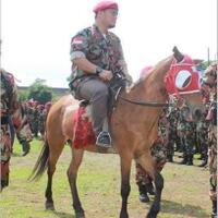 saksi-kasus-dana-kemah-pemuda-diperiksa-di-polda-diy-siapa-dia