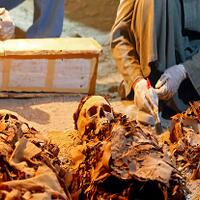 mesir-temukan-mumi-mumi-dari-2300-tahun-lalu