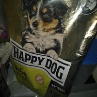 new-all-about-dog-food---part-1