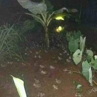 reuni-212-giring-umat-pilih-capres-yang-tak-paham-islam