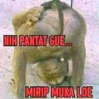 pose-pantat-ketua-gerindra-gunungkidul-yang-dipolisikan-bawaslu