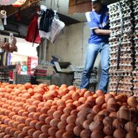 emak-emak-menjerit-telur-ayam-rp28000-kg