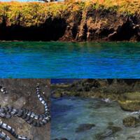 dihuni-ular-hingga-ilusi-air-terjun-bawah-laut-5-pulau-aneh-ini-menyimpan-misteri