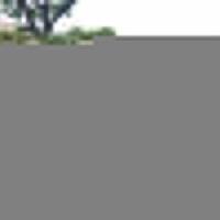 sebelum-ditemukan-meninggal-sindi-diketahui-menerima-tamu-bernama-kuyung-heri