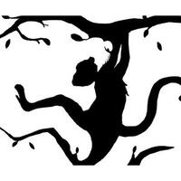 tes-kepribadian-karaktermu-terungkap-dari-gambar-hewan-yang-pertama-kali-kamu-lihat