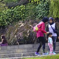 new-pendopo-sony-alpha---part-2